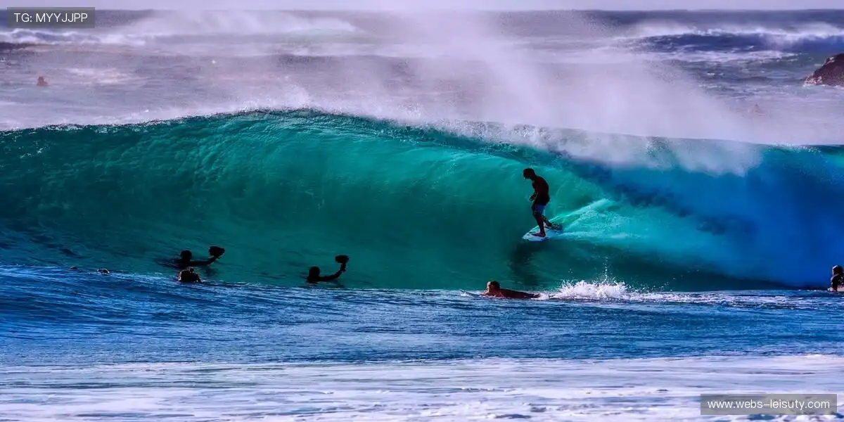 🎁限量周边,粉丝专属!🎾 把偶像力量穿在身上!